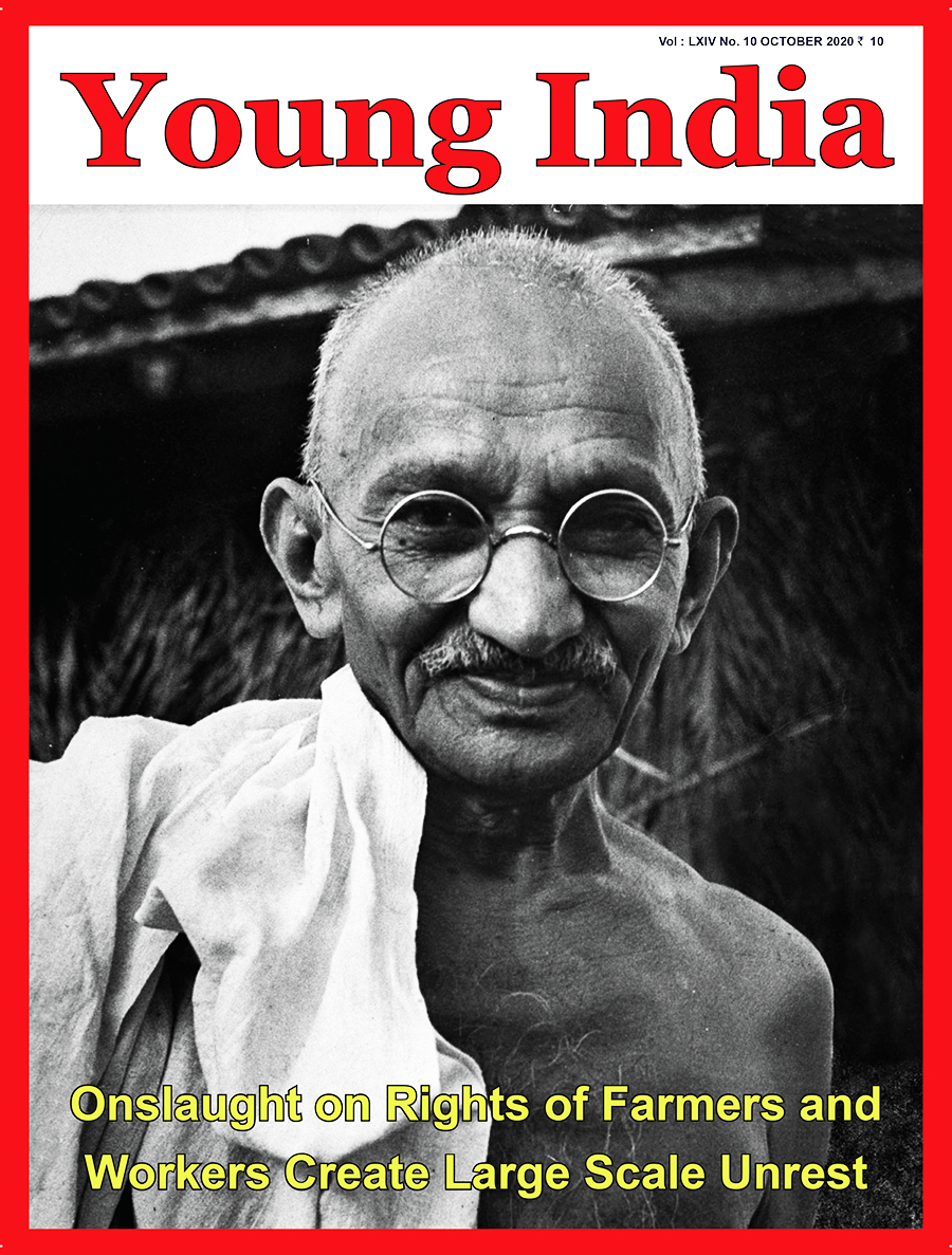 Young minds essay picture